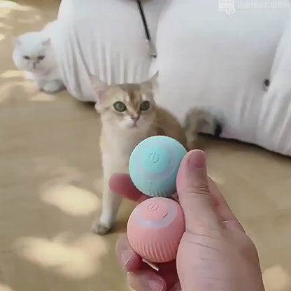 FetchSphere™ Automatic Smart Teasing Pet Ball